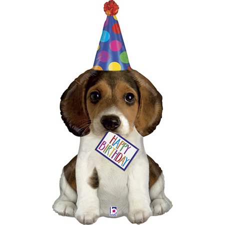 41" Birthday Party Pup!! С днем рождения Пати Щенок